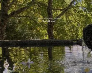 Quinta D`Manuel Maria- Rural Charm Houses - Bustelo