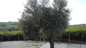 Ortona Holidays Guest House