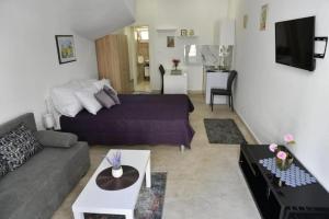 Studio Apartments Kamicak