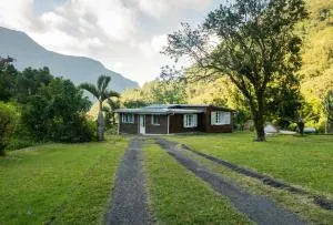 sur la route du voile meublé hibiscus - 萨拉济