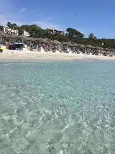 Tuffarsi nel Paradiso