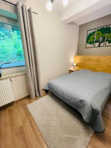 Apartament Góry i Potok