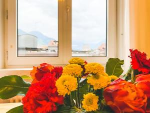 Cozy city center apartment