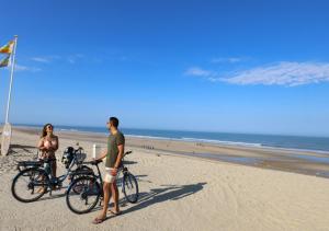 Chalets Chalet dans la pinede entre lac et ocean : photos des chambres