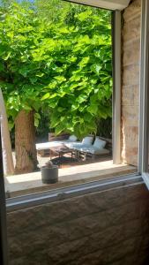 Maisons de vacances Havre de paix Avignon avec Jacuzzi & Sauna : photos des chambres