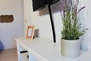 Casa Rural - Cottage Bentayga