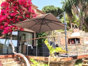 Appartements Villa les Alizes : photos des chambres