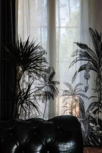 Villa des Antiquaires