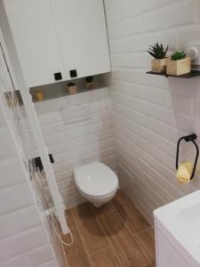 Appartements Chambre d'Hote Noalhat - Zenith d'Auvergne : photos des chambres