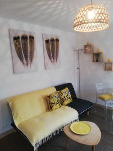 Appartements Chambre d'Hote Noalhat - Zenith d'Auvergne : photos des chambres
