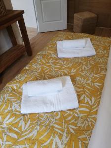 Appartements Chambre d'Hote Noalhat - Zenith d'Auvergne : Maisonnette