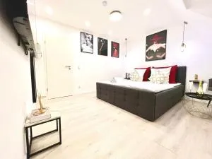 Living Solution 24 Karlsruhe - 埃特林根