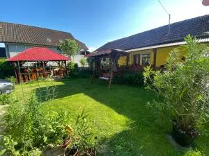 Casa Otilia - Silvaşu de Jos