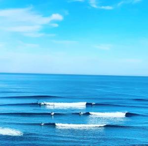 T3 GUÉTHARY - PARLEMENTIA