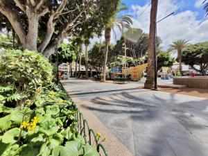 Apartamento Plaza del Charco