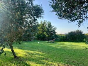 Podere Cala Viola img66