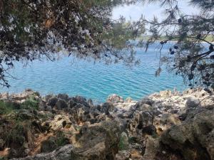Studio apartman Premantura