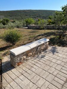 Apartment Olea