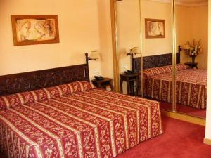 Single Room room in Hotel Don Luis