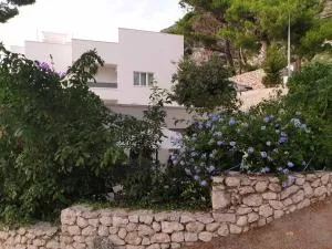 Villa Lasta - Drasnice