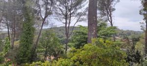 Villa Bleue