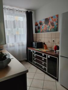 Apartament Magistacki