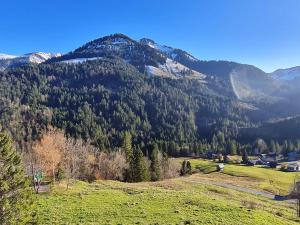 Appartement Melinda Ebnit