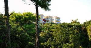 Adonis Halkidiki Greece