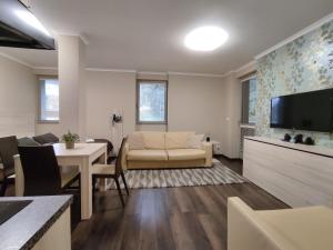 FREE WELLNESS & SPA MULTIMEDIA APARTMENT - SNÍDANĚ V CENĚ - ZDARMA VSTUP DO WELLNESS, VÍŘIVÉ VANY, SOLNÁ SAUNA, FINSKÁ SAUNA, PARNÍ SAUNA, MASÁŽE, PLAYSTATION 5 a HRY, MODERNÍ VYBAVENÍ, PARKOVÁNÍ ZDARMA, VYBAVENÍ PRO DĚTI, SJEZDOVKA 