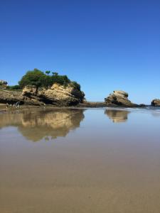 Appartements Charmant T2 Biarritz centre : photos des chambres