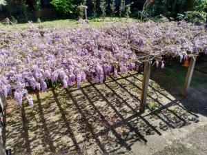 Apartamentos Aromas de Gramado - Bairro Centro