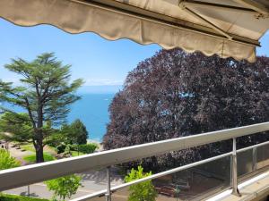 Appartements Appartement Evian-les-Bains, 2 pieces, 4 personnes - FR-1-498-77 : photos des chambres