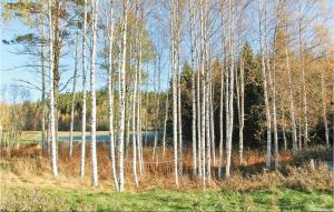 Holiday Home Östra Berga Lysvik