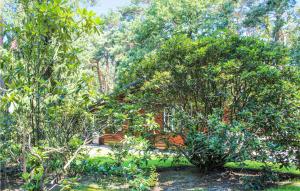 Cozy Home In Meijel With Wifi