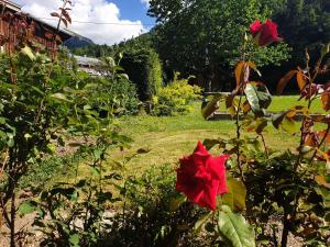 Chalet cosy pour 2-3 pers. avec jardin au cœur du village, à 5 min du ski et proche des commerces - FR-1-342-274