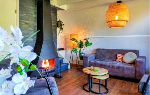 Lovely Home In Gramsbergen With Wifi