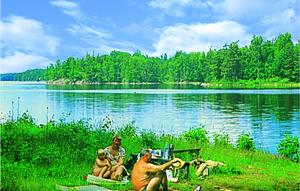 Holiday Home Rödviksnäs Kristdala