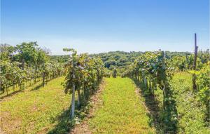 Ferienhaus In Heiligenbrunn