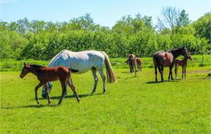2 Bedroom Awesome Home In Udenhout