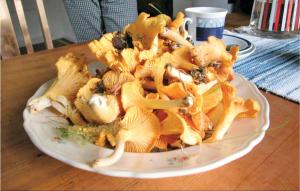 Holiday Home Henån Höggeröd