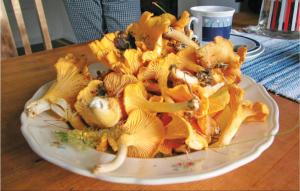 Holiday Home Torrskog Bengtsfors