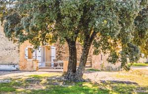 Gorgeous Home In Vénéjan With Kitchen