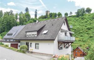 Awesome Apartment In Hornberg With 2 Bedrooms And Wifi