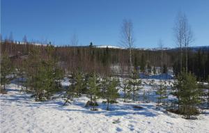 4 Bedroom Beautiful Home In Sälen