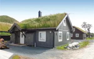Amazing Home In Rauland With Wifi - Åmotsdal