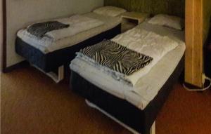 Gorgeous Home In Holsljunga