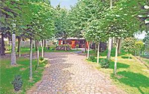 Flamenco - Zuiddorpe