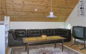 Three-Bedroom Holiday Home In Annerstad