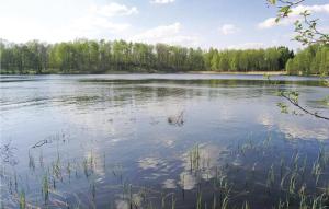 Three-Bedroom Holiday Home In Langaryd