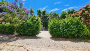 Nirvana Rooms & Apartments 